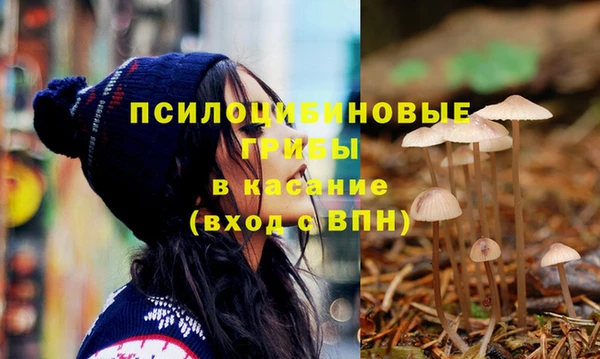 хмурый Балахна