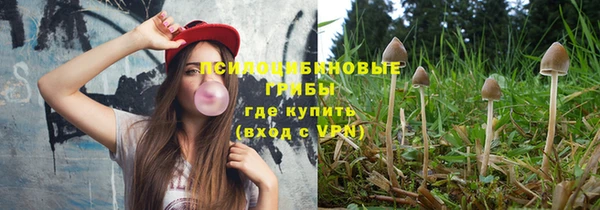 гидропоника Покровск