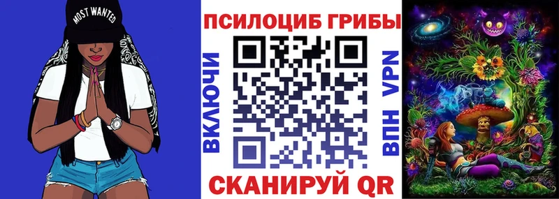 Галлюциногенные грибы Psilocybine cubensis  закладки  Пересвет 